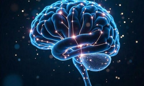 WhatsApp Image 2025-12-28 at 14.28.53